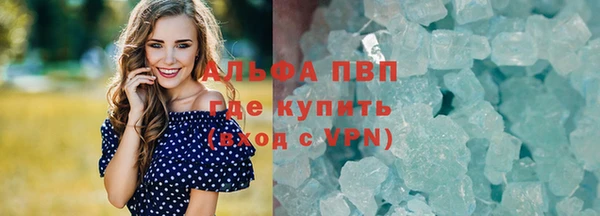 дмт Вяземский