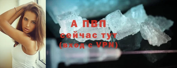 дмт Вяземский