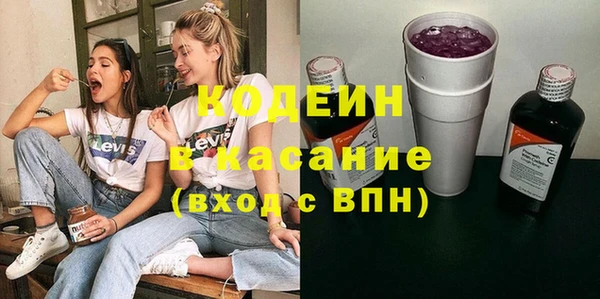 дмт Вяземский