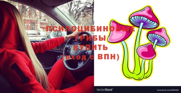 дмт Вяземский